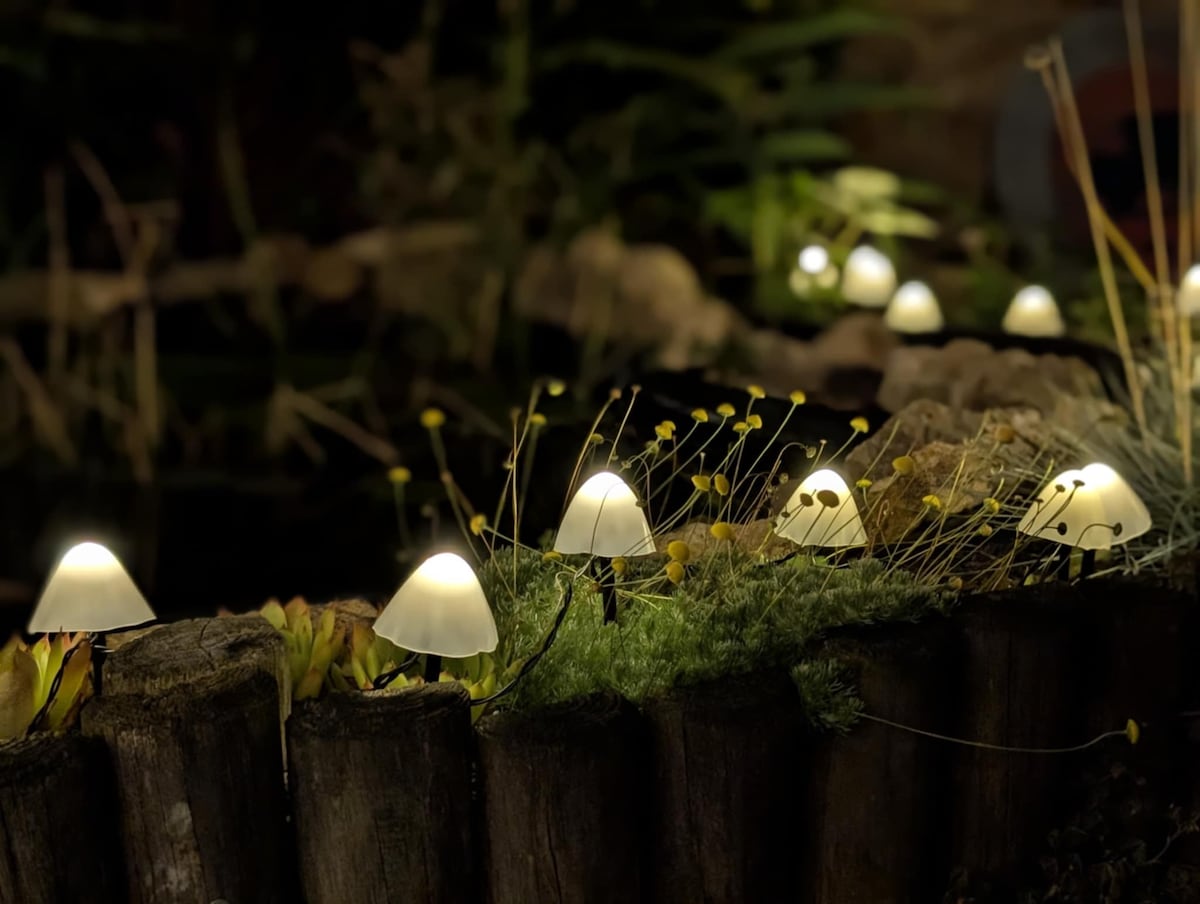 Garden lights at night