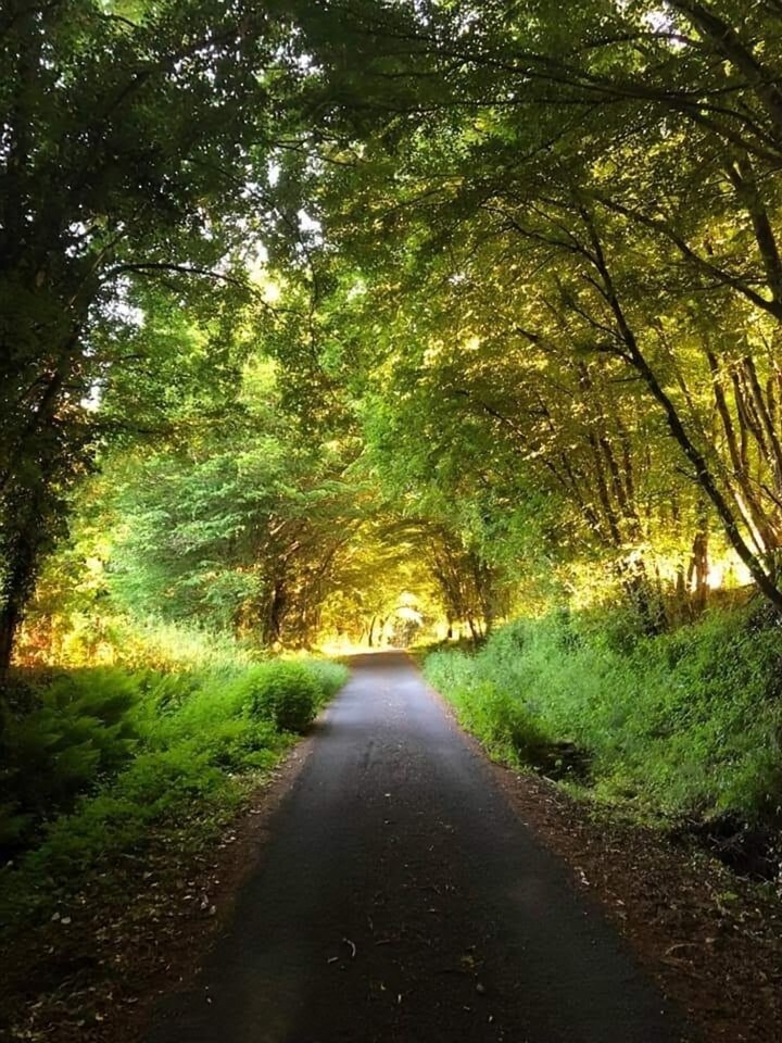 A green lane near the house