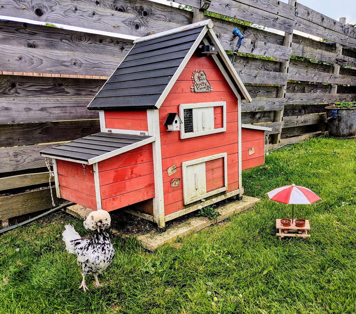 The hen house