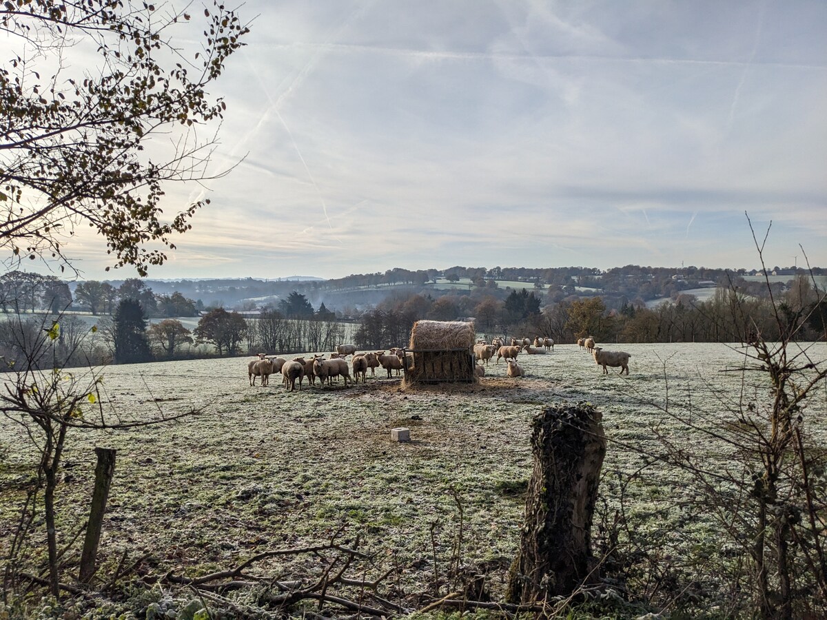 Winter in the Limousin