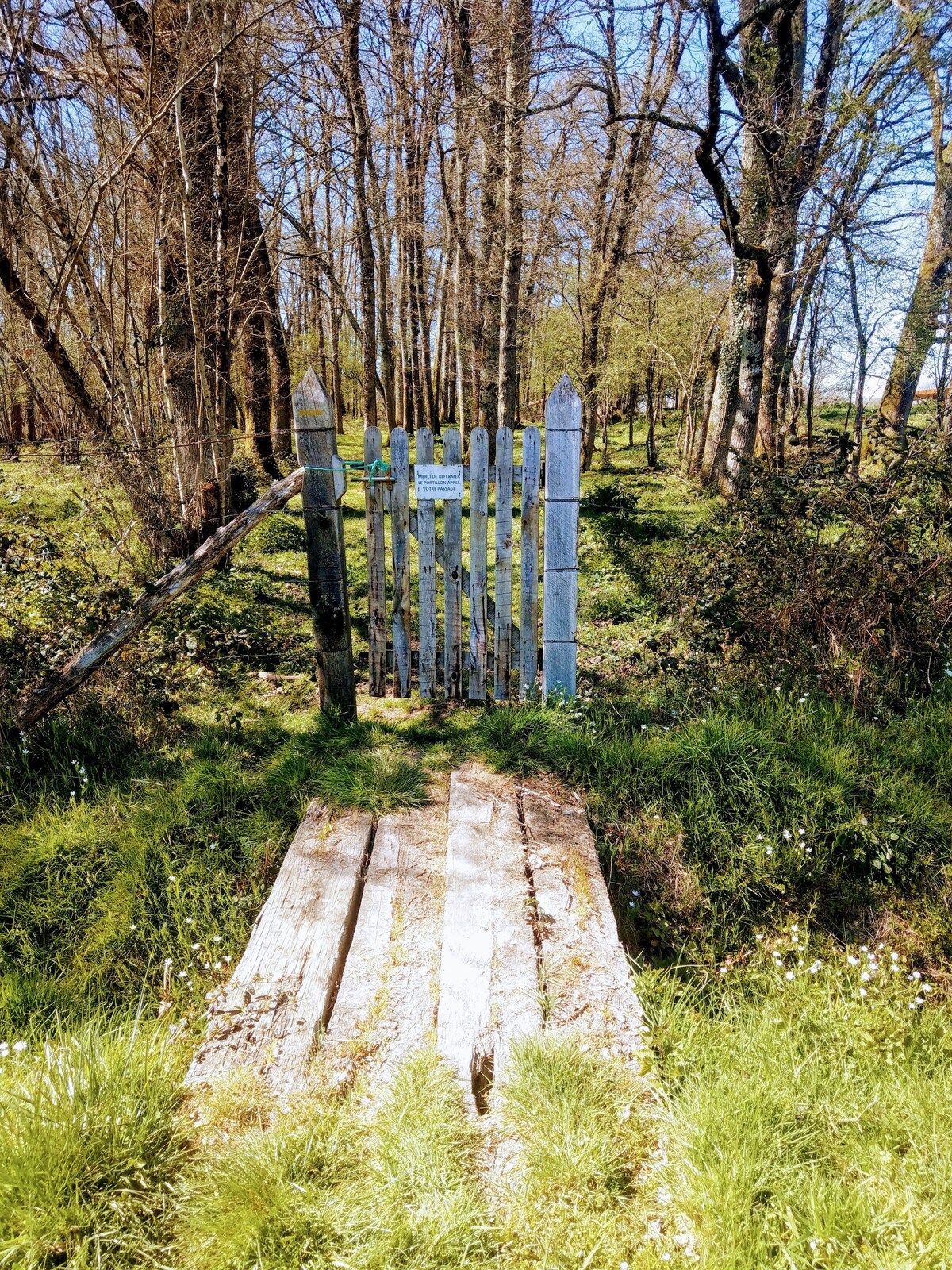 The blue gate