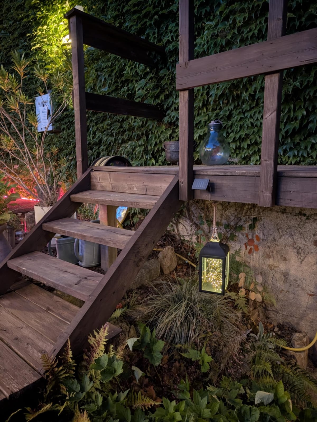 The garden at dusk